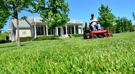 Lawn service tooele ut  What are you looking for? What are you looking for? Where? Recent Locations